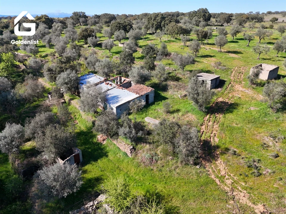 Quinta T0 para Venda em Idanha-A-Nova e Alcafozes Foto 2