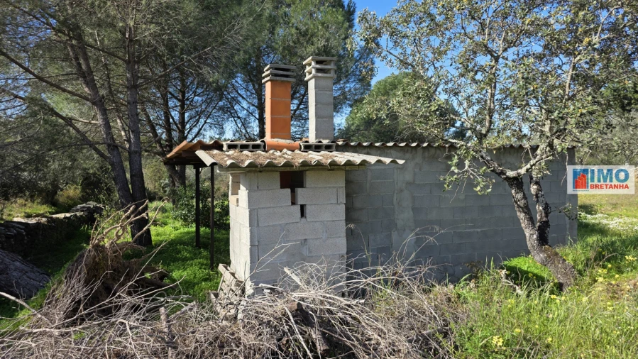 Terreno Agricola ou Rústico para Venda em Benquerenças Foto 4