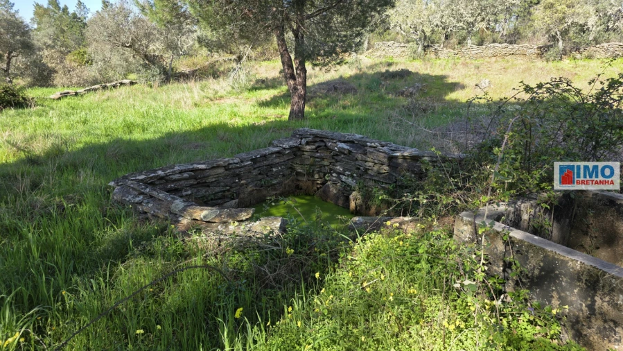 Terreno Agricola ou Rústico para Venda em Benquerenças Foto 5