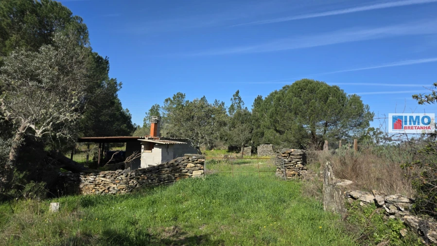 Terreno Agricola ou Rústico para Venda em Benquerenças