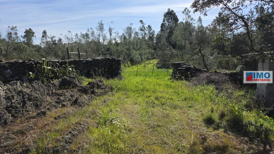 Terreno Agricola ou Rústico para Venda em Benquerenças Foto 14