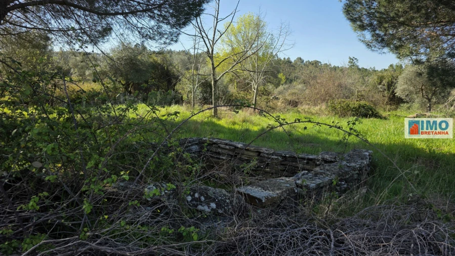 Terreno Agricola ou Rústico para Venda em Benquerenças Foto 7