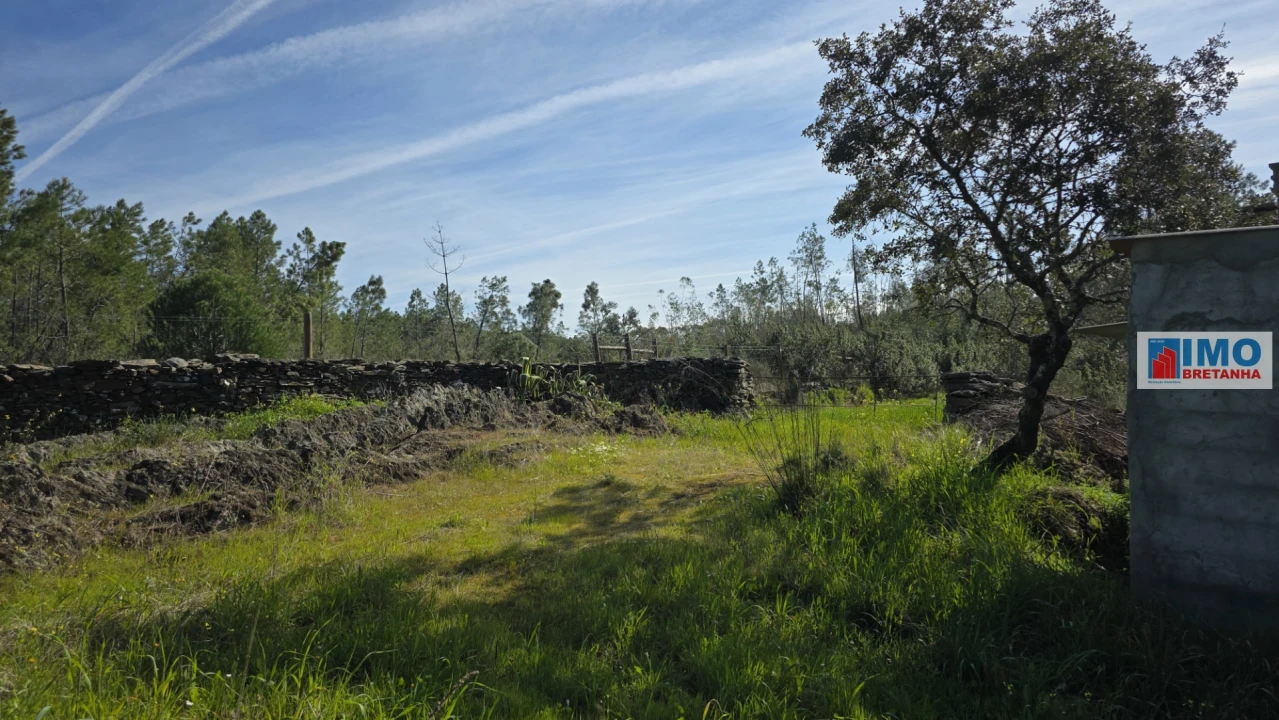 Terreno Agricola ou Rústico para Venda em Benquerenças Foto 12