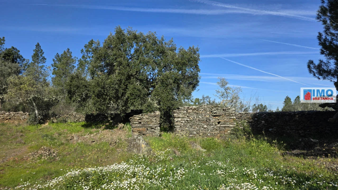 Terreno Agricola ou Rústico para Venda em Benquerenças Foto 9