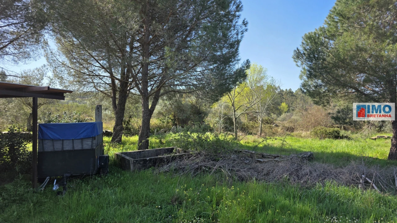 Terreno Agricola ou Rústico para Venda em Benquerenças Foto 11