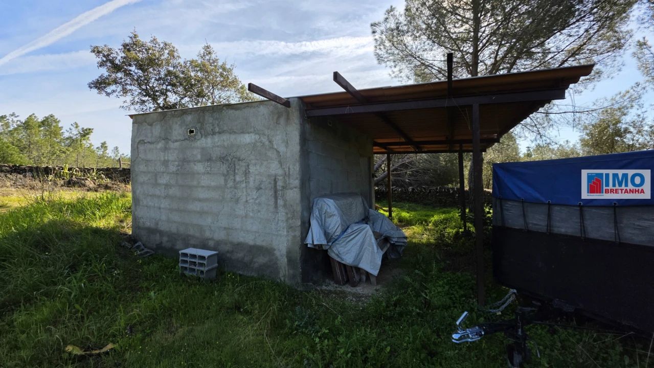 Terreno Agricola ou Rústico para Venda em Benquerenças Foto 2