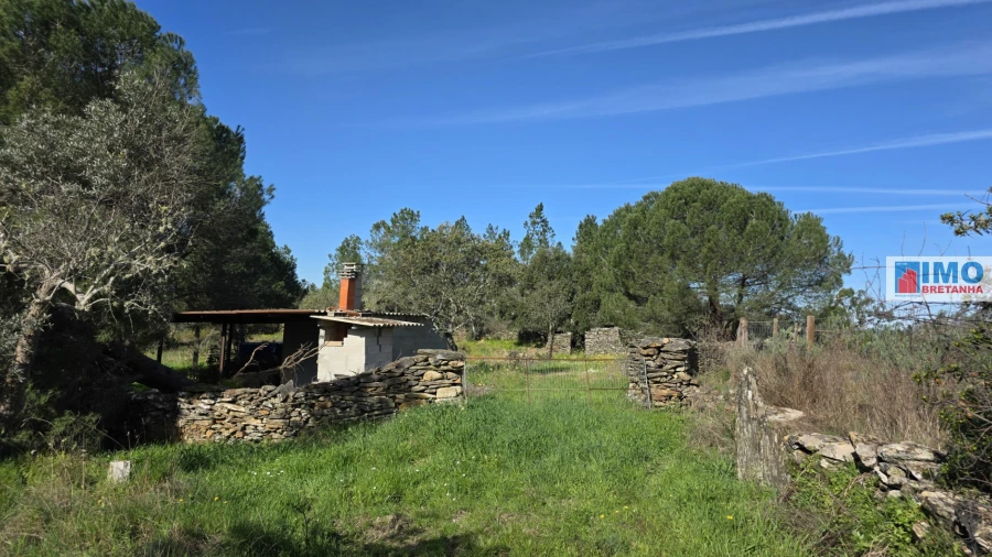 Terreno Agricola ou Rústico para Venda em Benquerenças