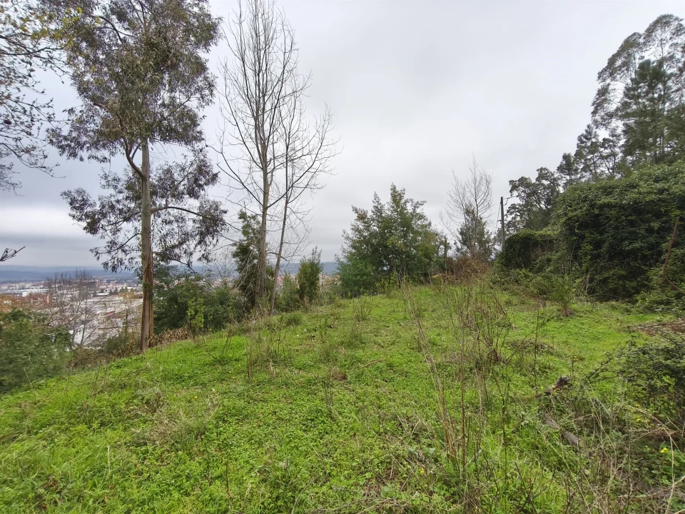 Terreno para Venda em Lousã e Vilarinho Foto 5