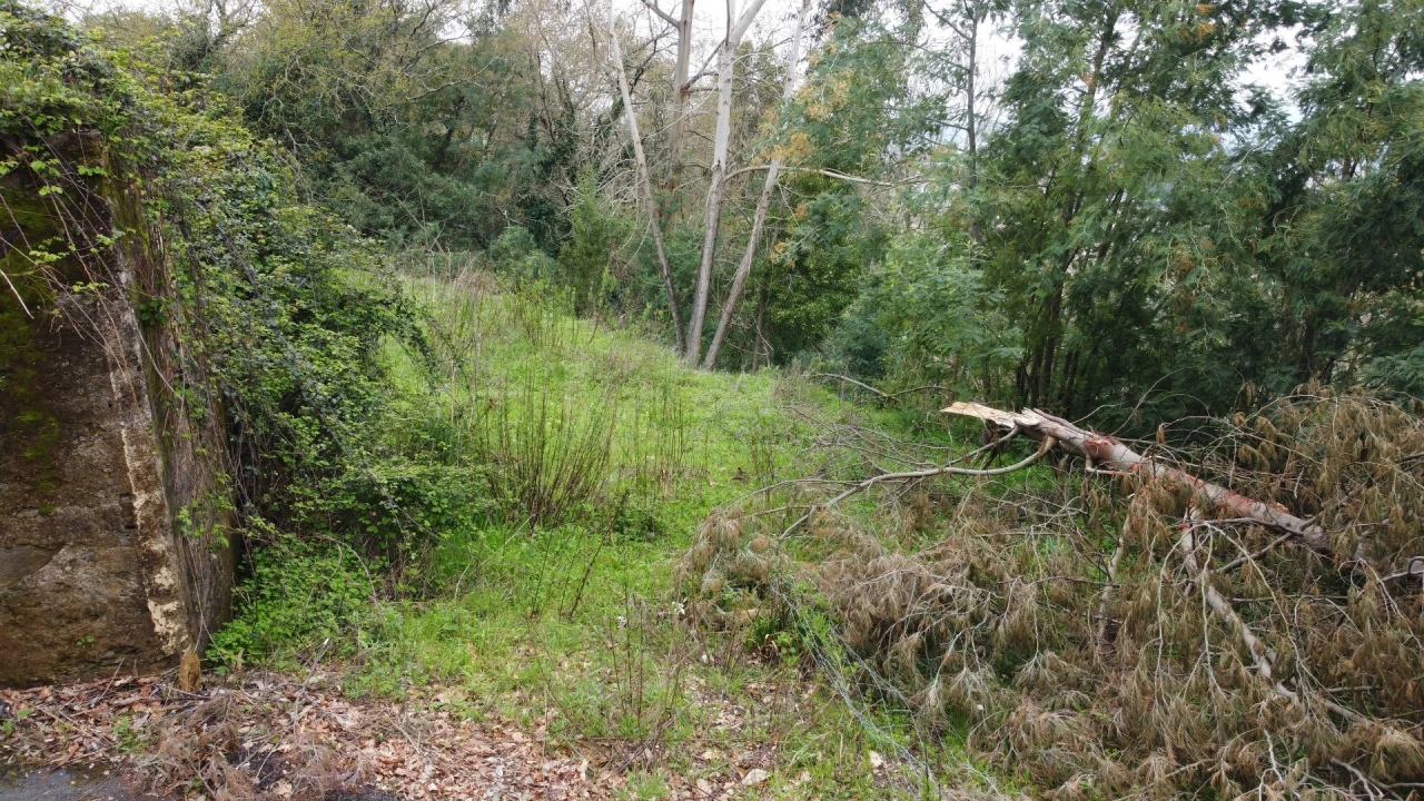 Terreno para Venda em Lousã e Vilarinho Foto 16