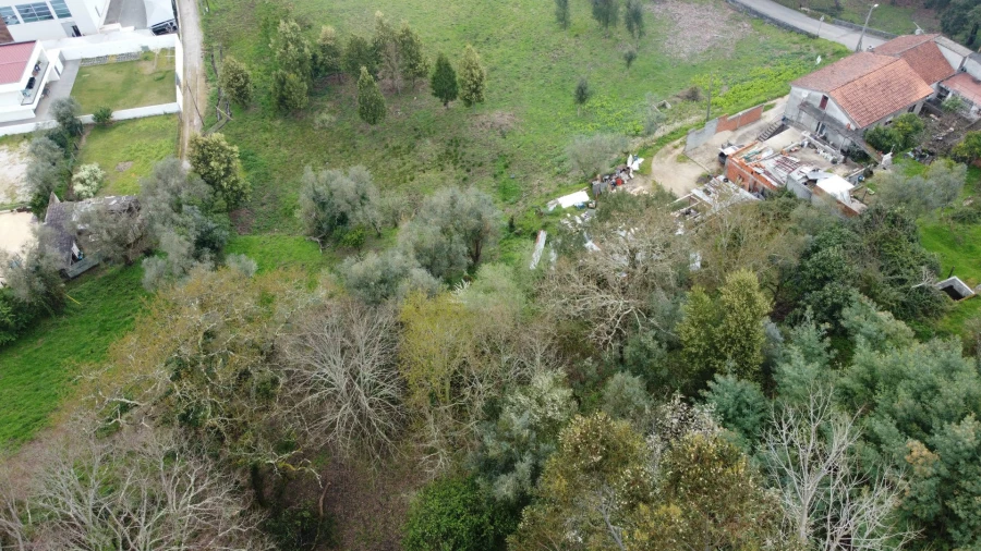 Terreno para Venda em Lousã e Vilarinho Foto 11