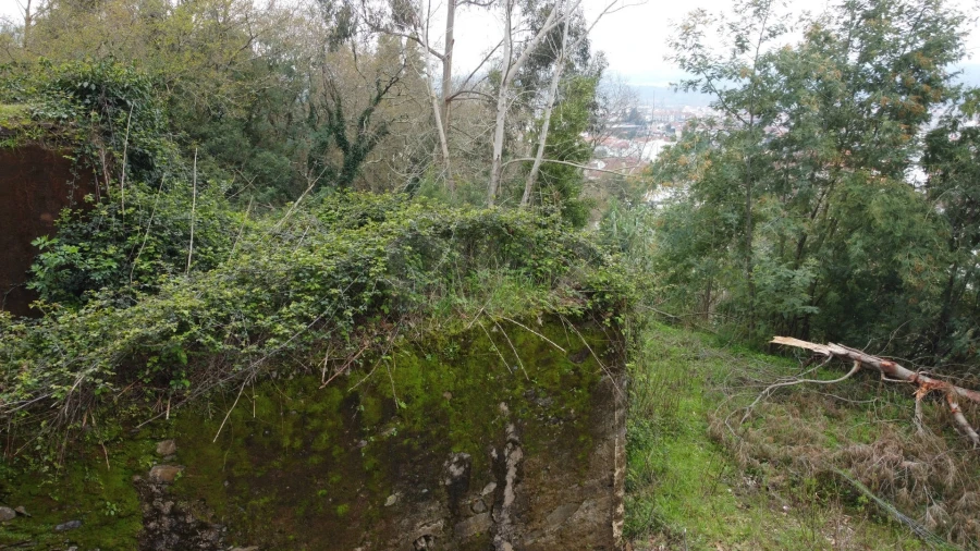 Terreno para Venda em Lousã e Vilarinho Foto 15