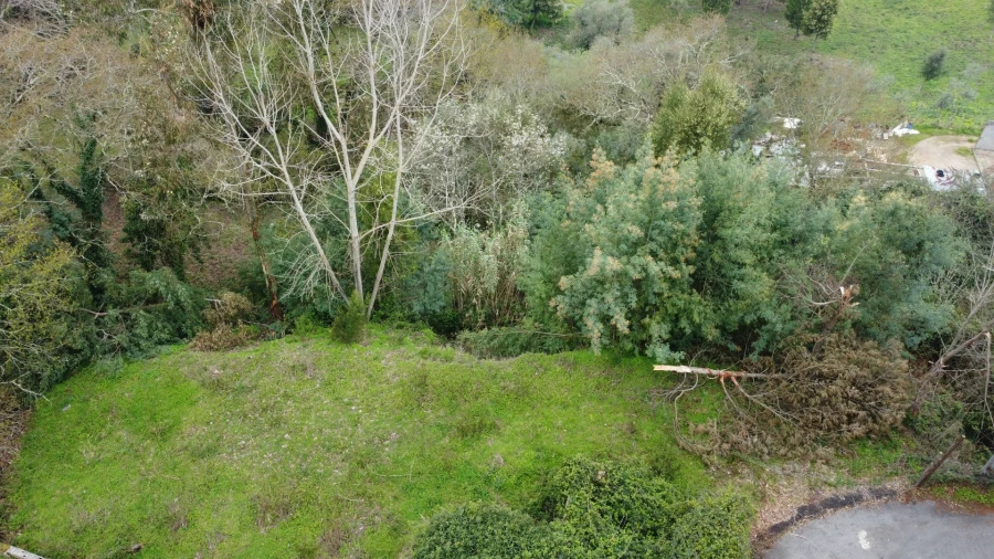 Terreno para Venda em Lousã e Vilarinho Foto 13