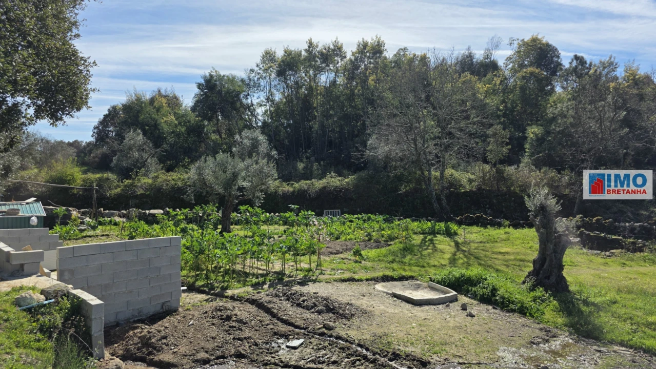 Terreno Agricola ou Rústico para Venda em Póvoa de Rio de Moinhos e Cafede Foto 17