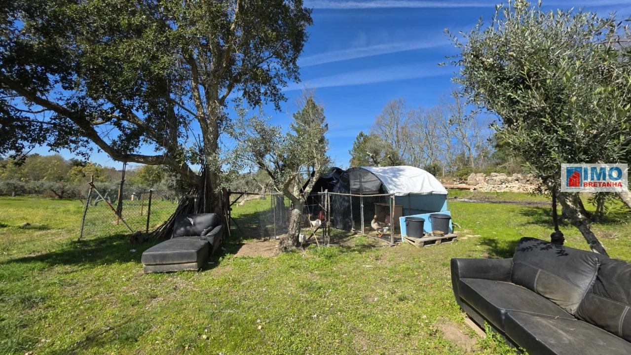 Terreno Agricola ou Rústico para Venda em Póvoa de Rio de Moinhos e Cafede Foto 5