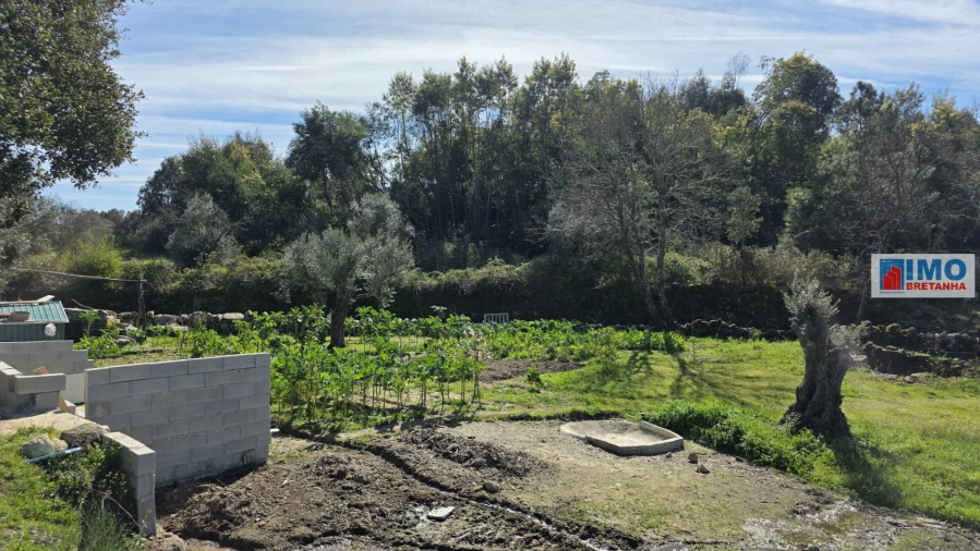 Terreno Agricola ou Rústico para Venda em Póvoa de Rio de Moinhos e Cafede Foto 17