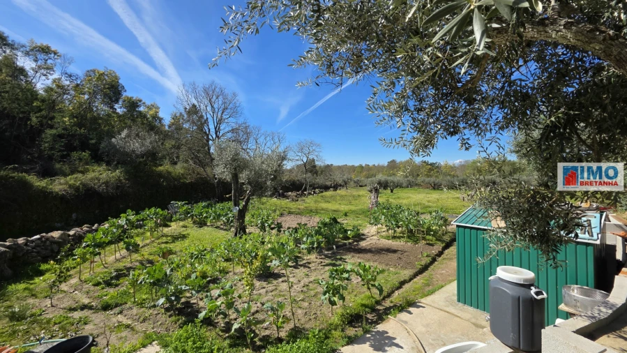 Terreno Agricola ou Rústico para Venda em Póvoa de Rio de Moinhos e Cafede Foto 4
