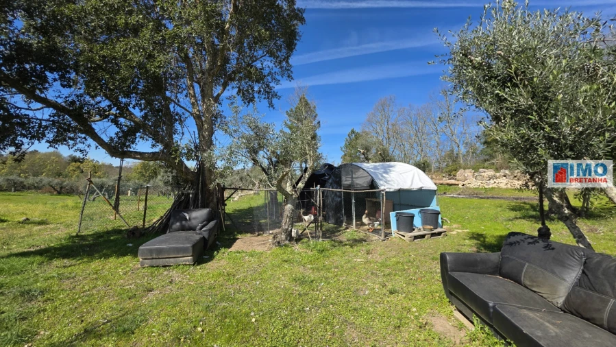 Terreno Agricola ou Rústico para Venda em Póvoa de Rio de Moinhos e Cafede Foto 5