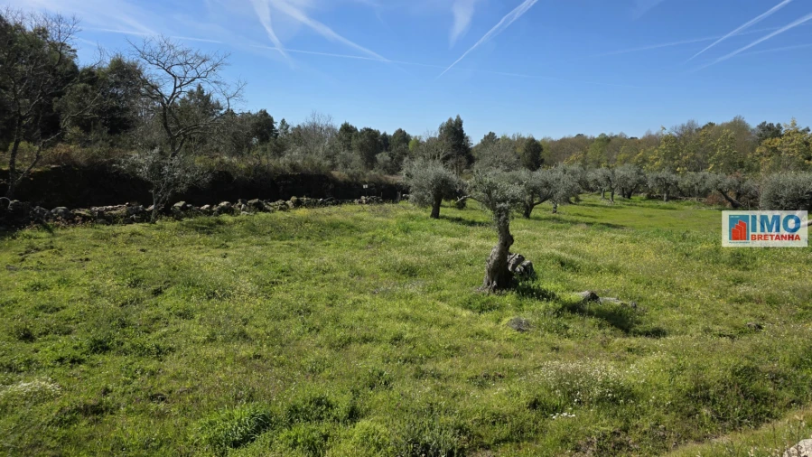 Terreno Agricola ou Rústico para Venda em Póvoa de Rio de Moinhos e Cafede Foto 13