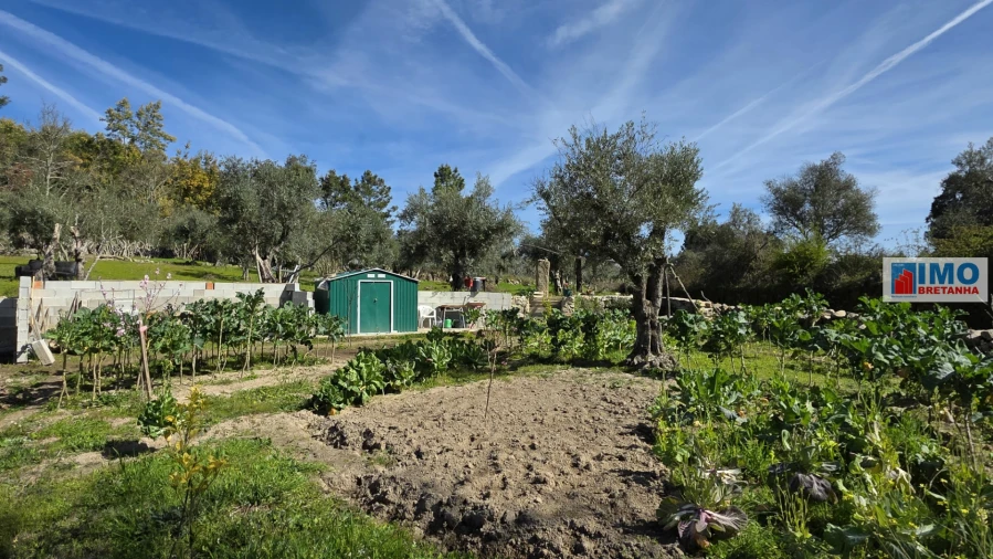 Terreno Agricola ou Rústico para Venda em Póvoa de Rio de Moinhos e Cafede Foto 3