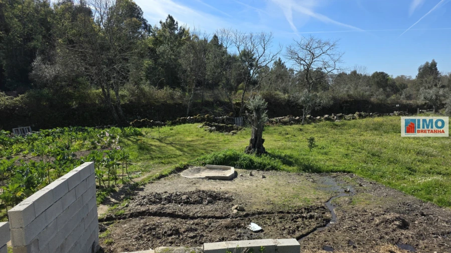 Terreno Agricola ou Rústico para Venda em Póvoa de Rio de Moinhos e Cafede Foto 12