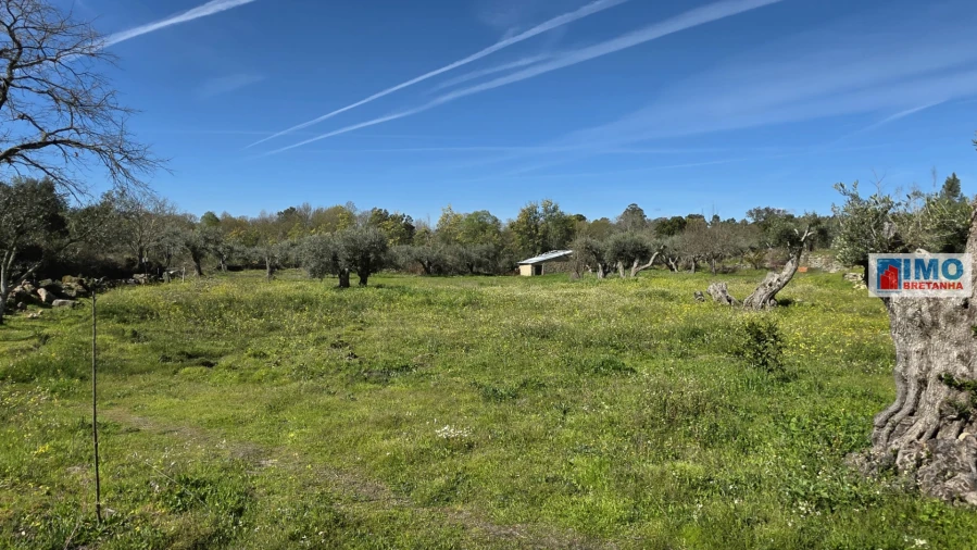 Terreno Agricola ou Rústico para Venda em Póvoa de Rio de Moinhos e Cafede Foto 9