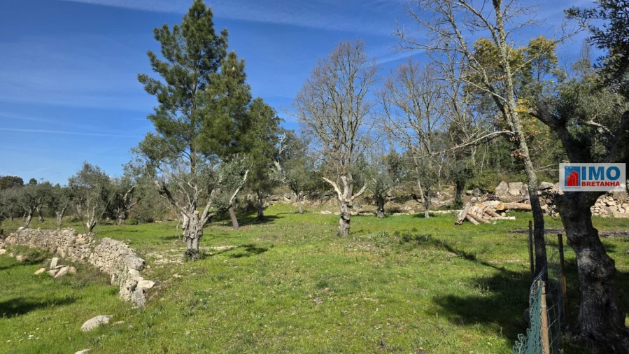 Terreno Agricola ou Rústico para Venda em Póvoa de Rio de Moinhos e Cafede Foto 14