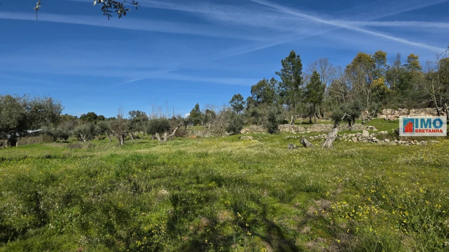 Terreno Agricola ou Rústico para Venda em Póvoa de Rio de Moinhos e Cafede Foto 7