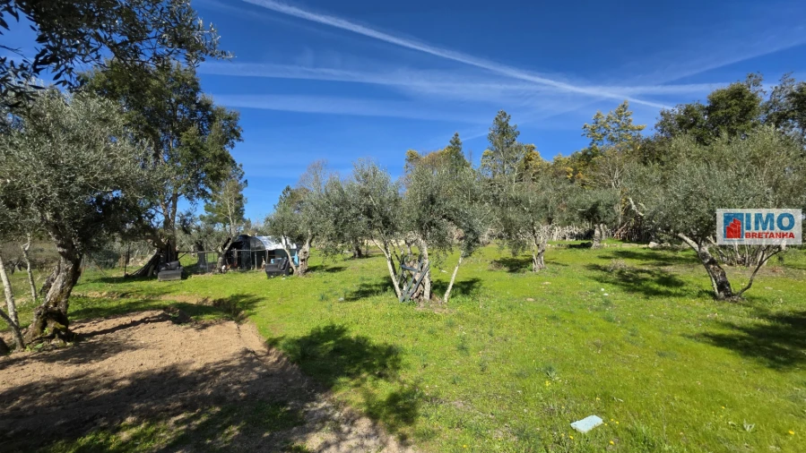 Terreno Agricola ou Rústico para Venda em Póvoa de Rio de Moinhos e Cafede Foto 10