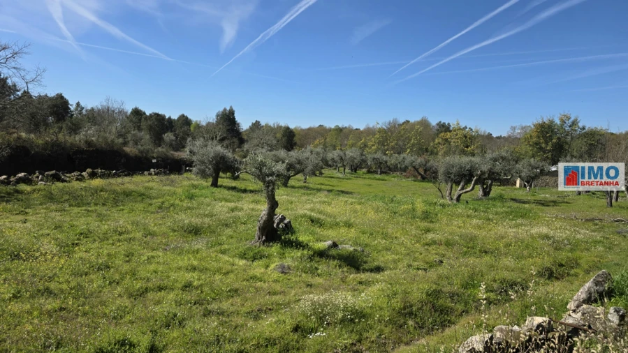 Terreno Agricola ou Rústico para Venda em Póvoa de Rio de Moinhos e Cafede Foto 16