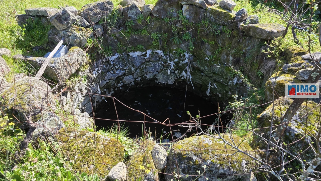 Terreno Agricola ou Rústico para Venda em Póvoa de Rio de Moinhos e Cafede Foto 6