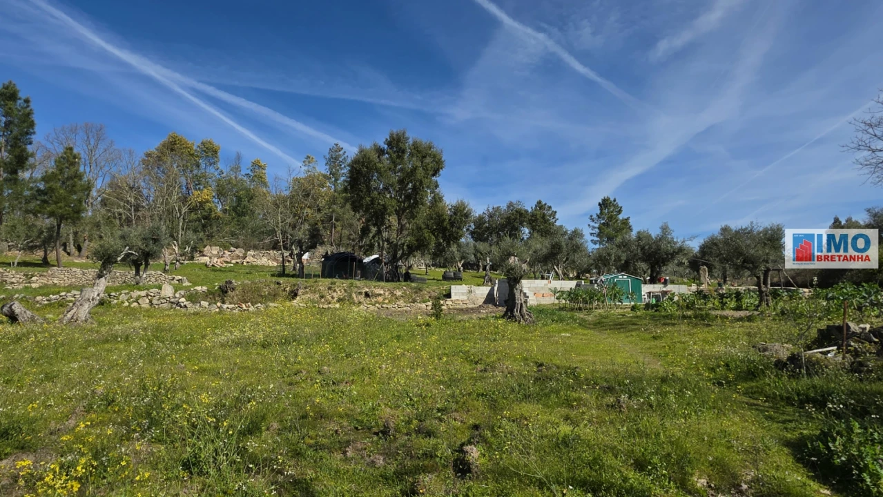 Terreno Agricola ou Rústico para Venda em Póvoa de Rio de Moinhos e Cafede Foto 8