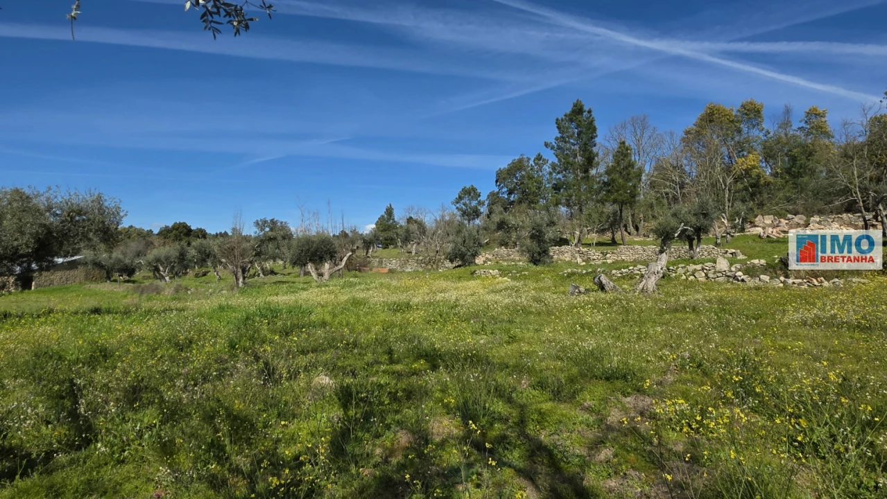 Terreno Agricola ou Rústico para Venda em Póvoa de Rio de Moinhos e Cafede Foto 7