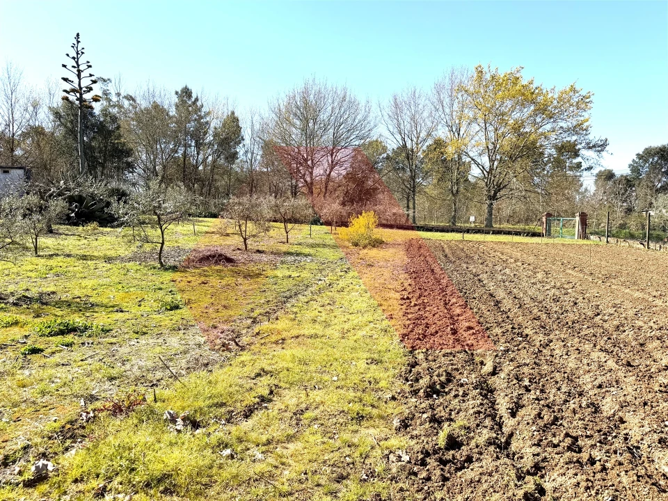 Moradia T3 para Venda em Espariz e Sinde Foto 28