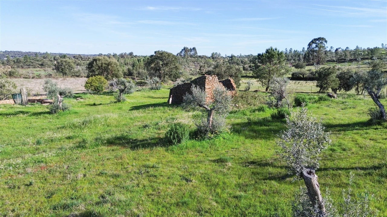 Quinta T0 para Venda em Freixial e Juncal do Campo Foto 24