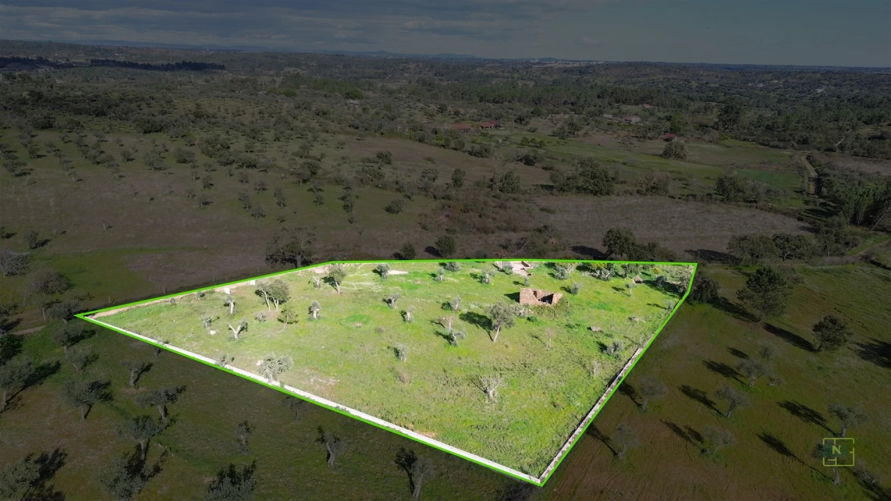 Quinta T0 para Venda em Freixial e Juncal do Campo Foto 6