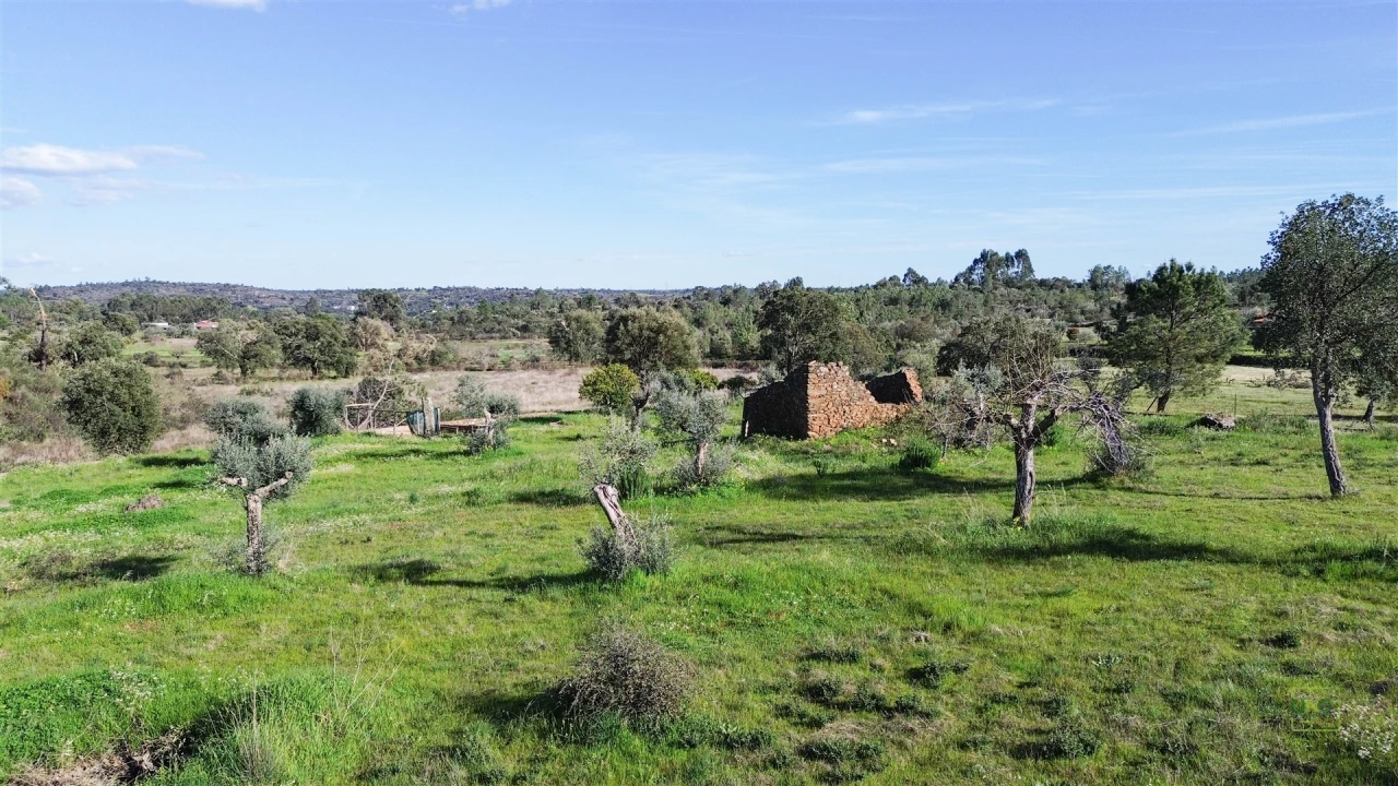 Quinta T0 para Venda em Freixial e Juncal do Campo Foto 21