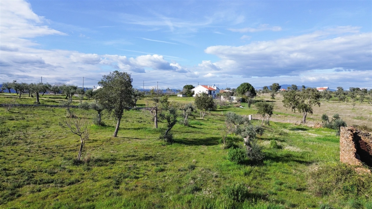 Quinta T0 para Venda em Freixial e Juncal do Campo Foto 14