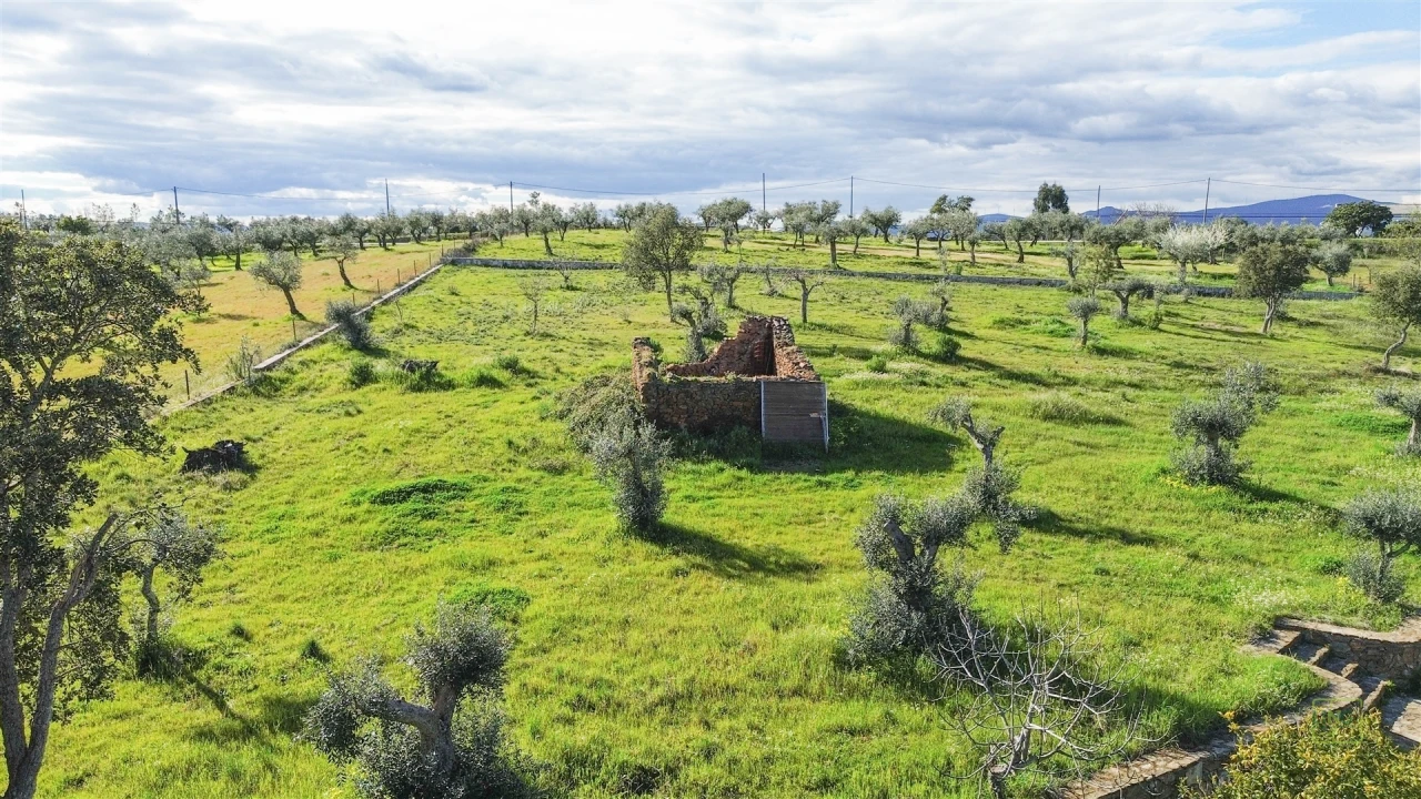 Quinta T0 para Venda em Freixial e Juncal do Campo Foto 18