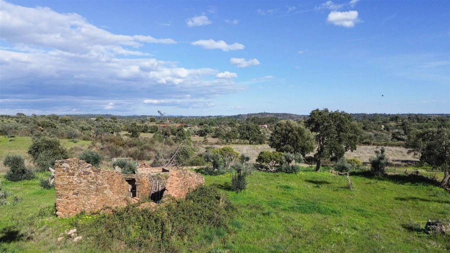 Quinta T0 para Venda em Freixial e Juncal do Campo Foto 11
