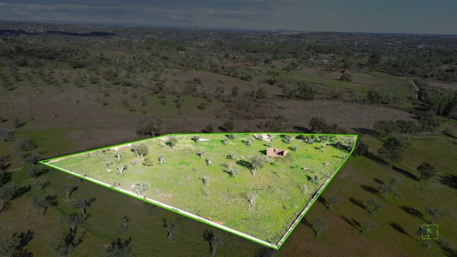 Quinta T0 para Venda em Freixial e Juncal do Campo Foto 6