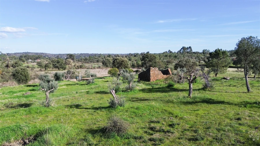 Quinta T0 para Venda em Freixial e Juncal do Campo Foto 21