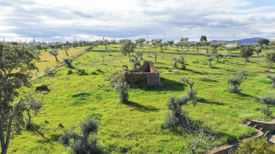 Quinta T0 para Venda em Freixial e Juncal do Campo Foto 18