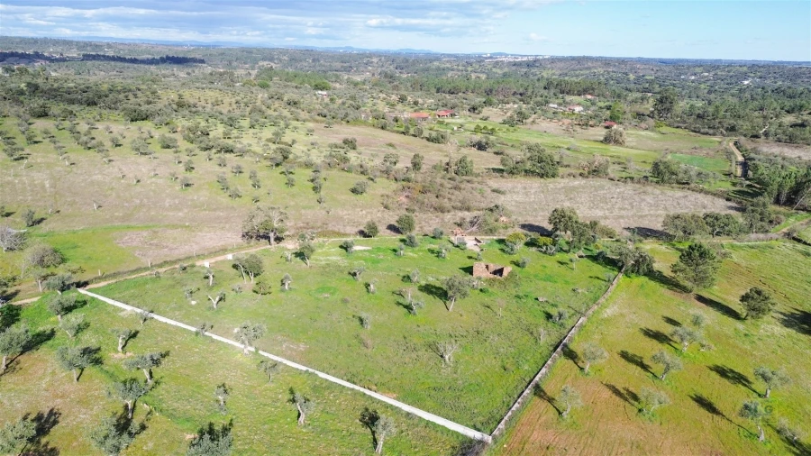Quinta T0 para Venda em Freixial e Juncal do Campo Foto 5