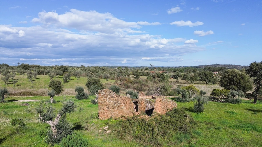 Quinta T0 para Venda em Freixial e Juncal do Campo Foto 12