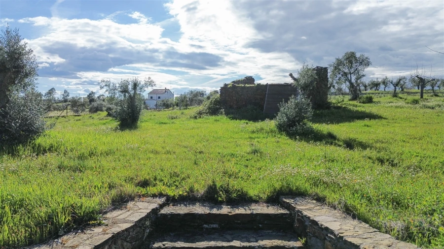 Quinta T0 para Venda em Freixial e Juncal do Campo Foto 8
