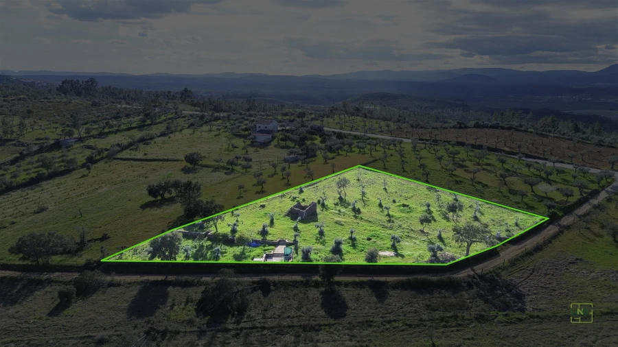 Quinta T0 para Venda em Freixial e Juncal do Campo Foto 4