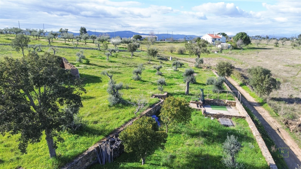 Quinta T0 para Venda em Freixial e Juncal do Campo Foto 17