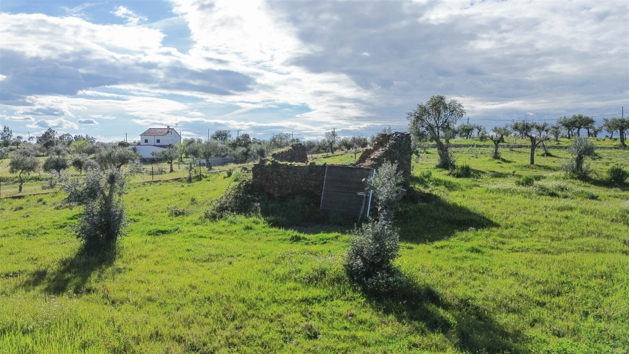 Quinta T0 para Venda em Freixial e Juncal do Campo Foto 9