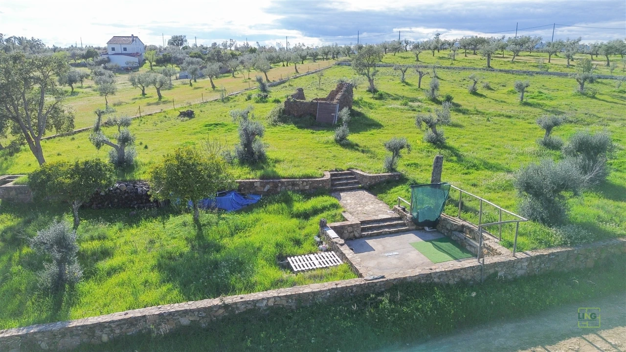 Quinta T0 para Venda em Freixial e Juncal do Campo Foto 25