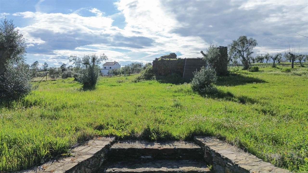 Quinta T0 para Venda em Freixial e Juncal do Campo Foto 8